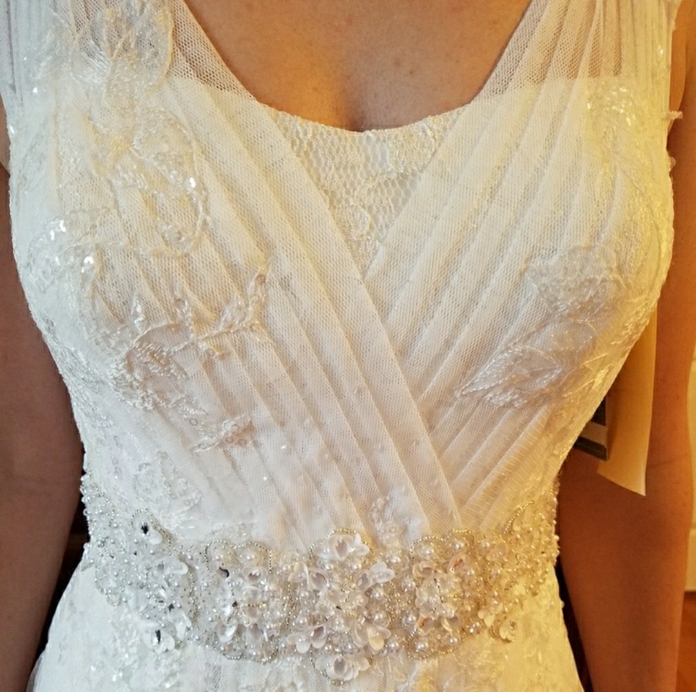 NEW Wedding dress (worn only for this photo) - Picture 1 of 7